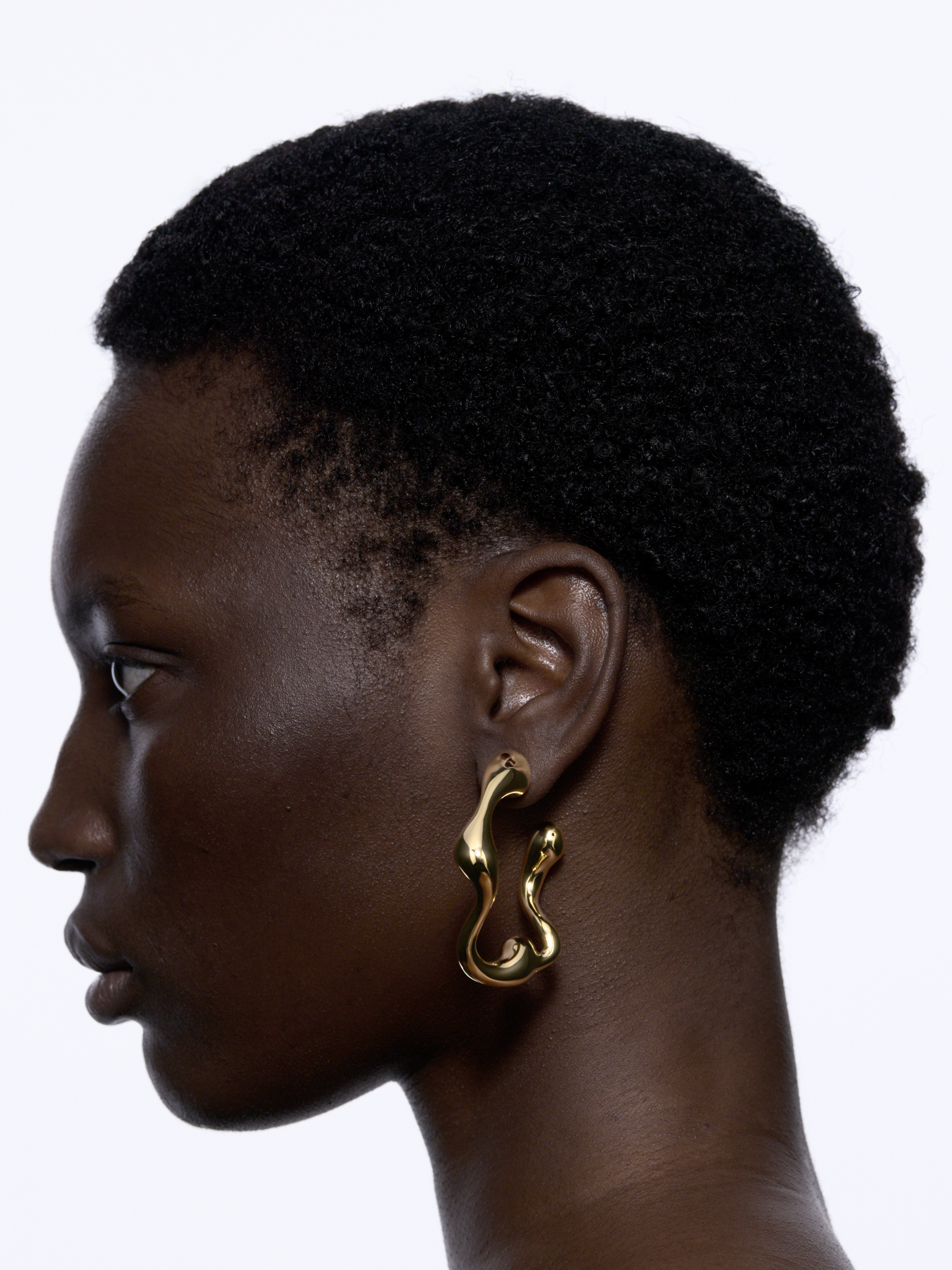 Branch Hoop | Maria Black